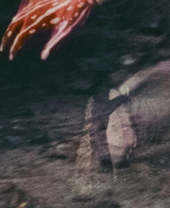 Keen Women's Jasper Rocks Sneaker X Hiking Patrol | Cuban Beige -Keen Deals Store KEEN W 1028832 HikingPatrolxJasperRocks Lifestyle PDP Single Left